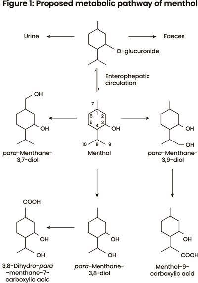 Figure2 (Asset 4)